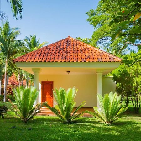 Pato Canales Hotel & Resort San Luis Luaran gambar